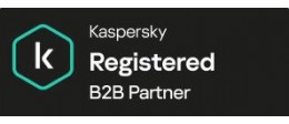 Kaspersky B2B