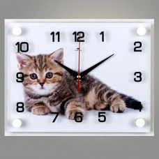 Часы настенные прямоугольные 20*25см, стекло [2026-472] Котик на белом