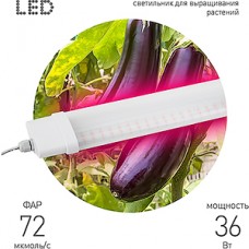 Светильник LED ФИТО 36W, 1200К, 1234*77.2*39.2, IP65, 72 мкмоль/с, ЭРА [FITO-36W-RB-N]