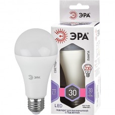 Лампа LED E27/A65 груша, 30W, 6000K, 2400Лм, ЭРА [LED A65-30W-860-E27]