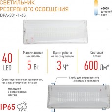 Светильник LED аварийный 220В, постоянный, IP65, 40LED, 3ч, 355*136*58, ЭРА [DPA-301-1-65]